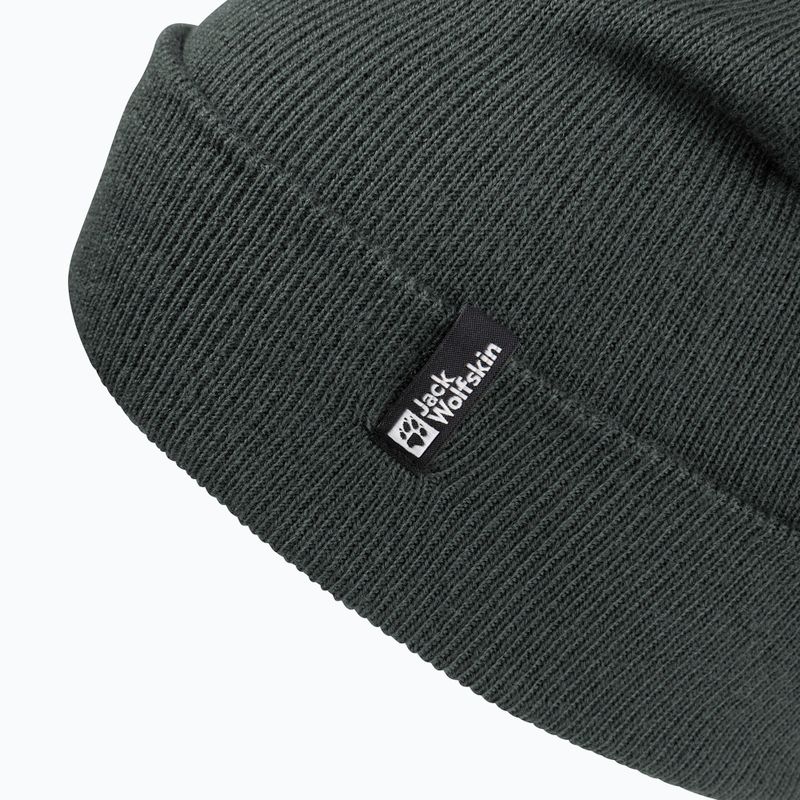 Cappello invernale Jack Wolfskin Rib verde ardesia 3