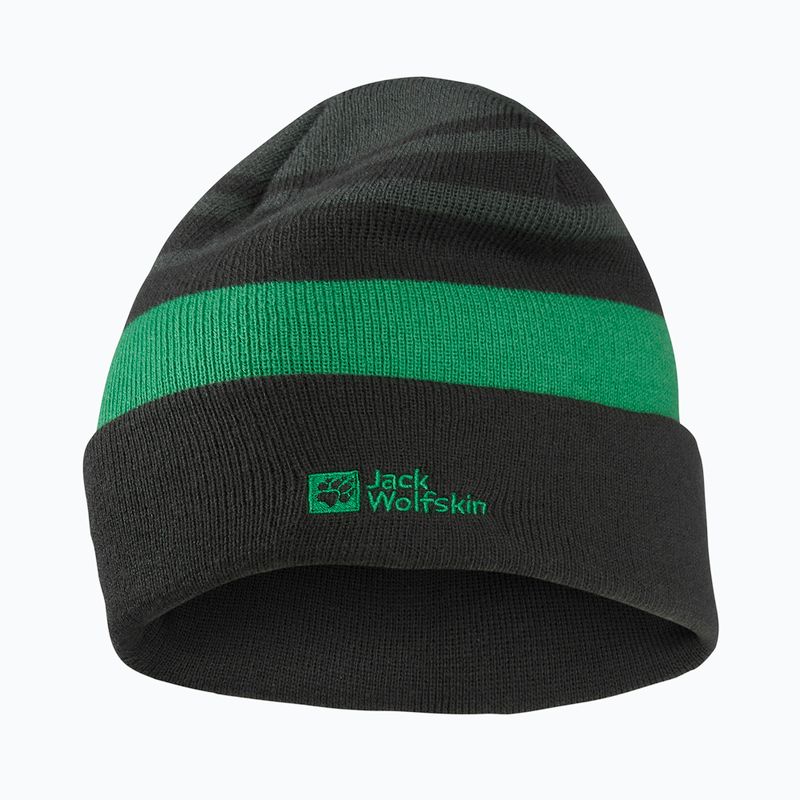 Cappello invernale per bambini Jack Wolfskin Stripy Knit verde ardesia/mistico