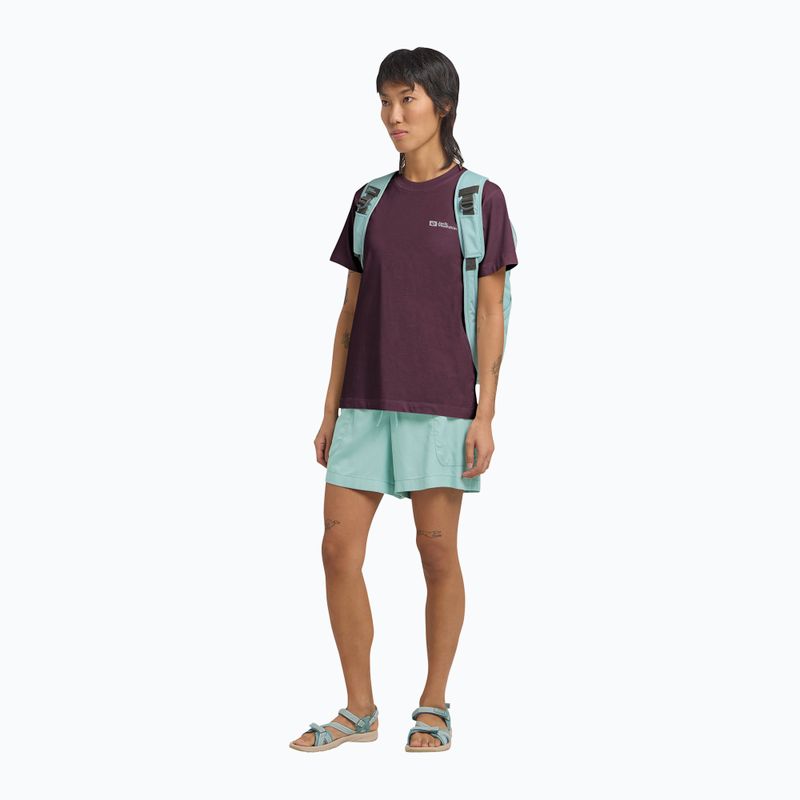 Maglietta da donna Jack Wolfskin Essential amaranto 2