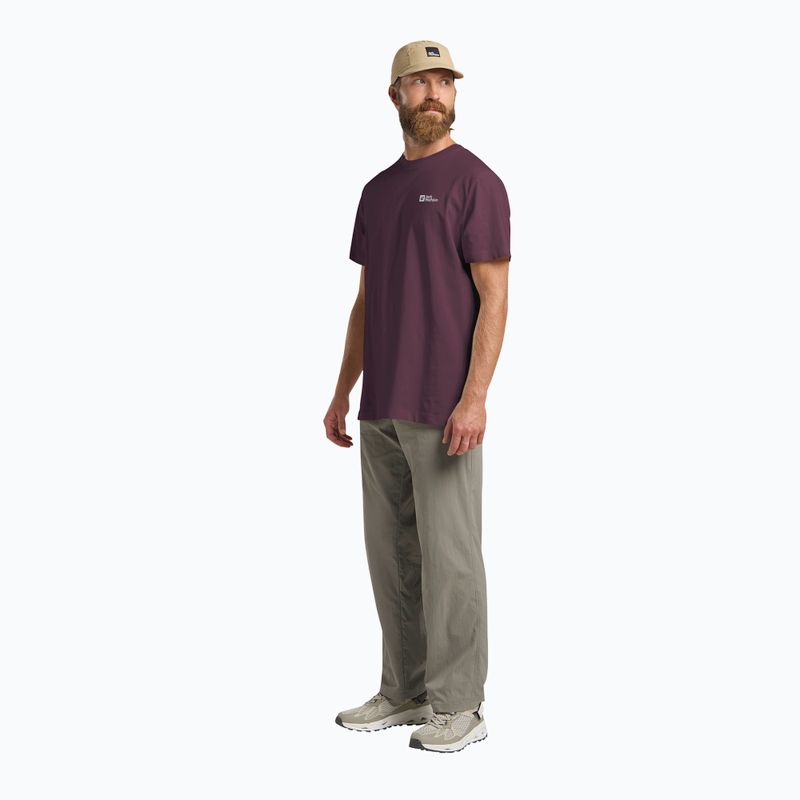 Maglietta da uomo Jack Wolfskin Essential amaranth 2