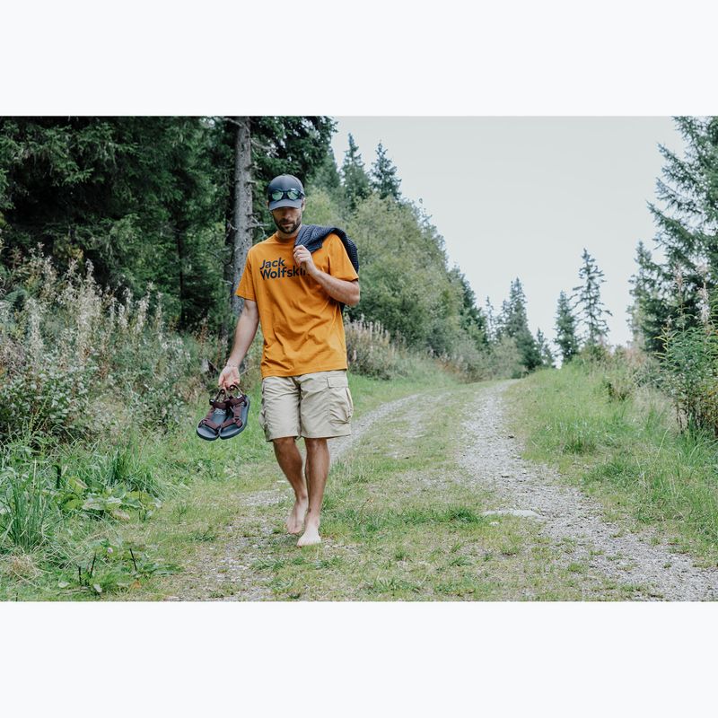 Sandali da uomo Jack Wolfskin Taiga dark mahogany 7