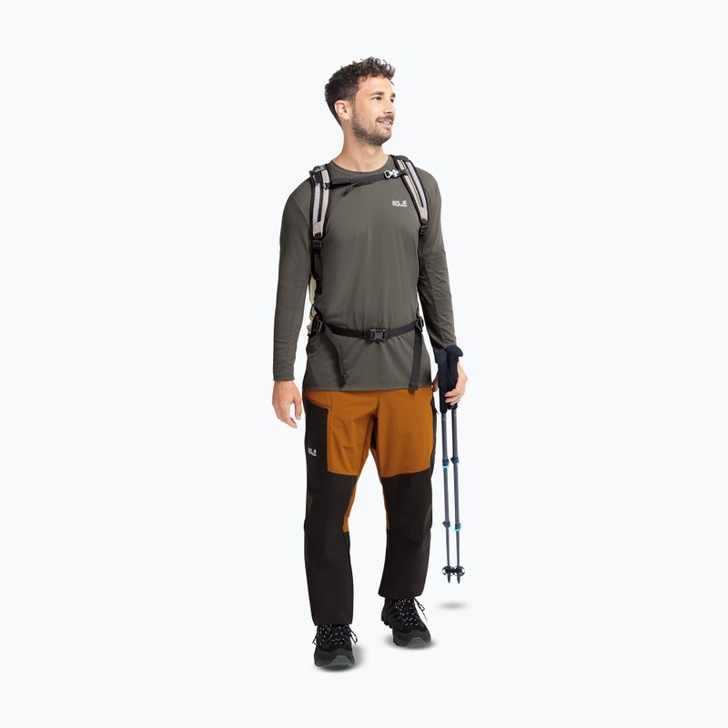 Scarpe da trekking uomo Jack Wolfskin Apex Hike Texapore Low black 7