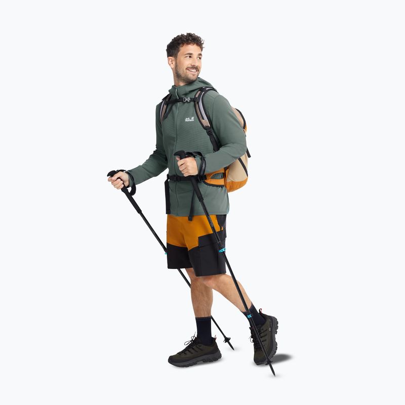 Scarpe da trekking uomo Jack Wolfskin Apex Hike Texapore Low obsidian moss 7