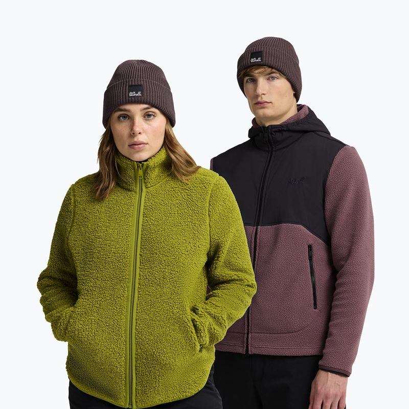 Cappello invernale Jack Wolfskin Pergamon Beanie sheer plum 4