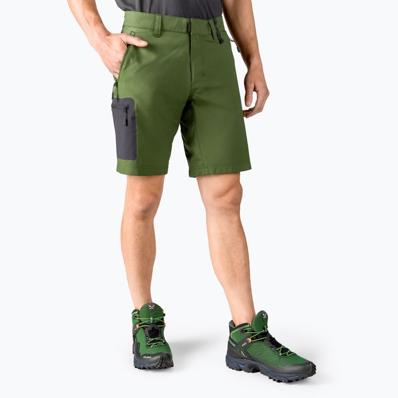 Pantaloncini da trekking da uomo Jack Wolfskin Active Track greenwood