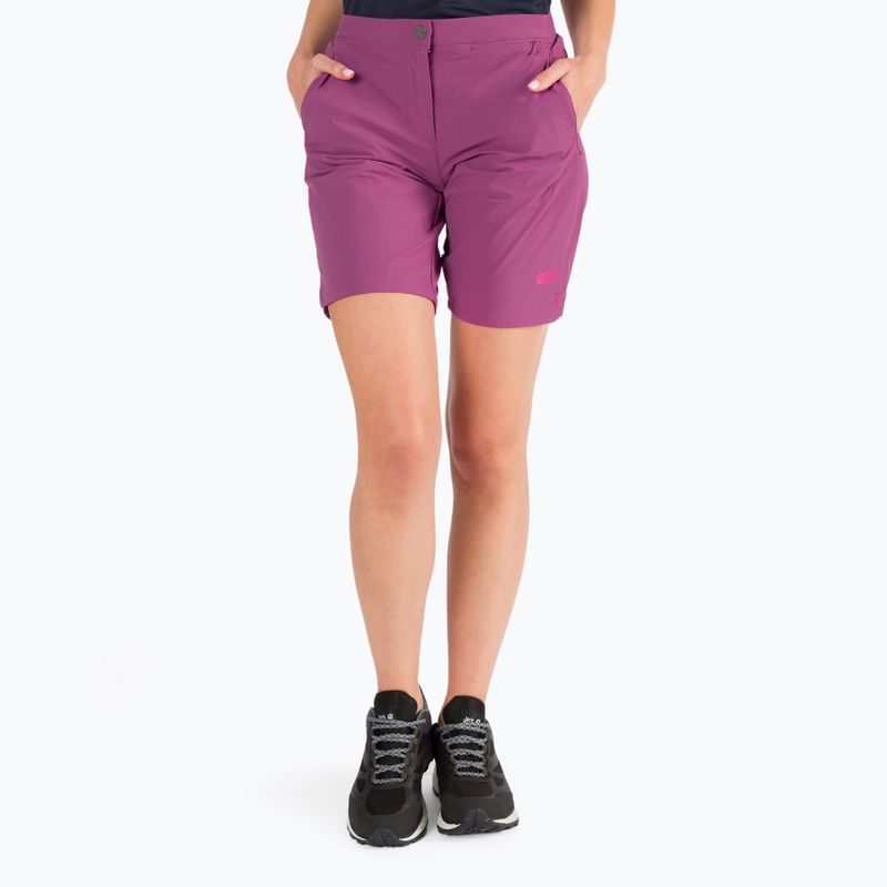 Pantaloncini da trekking Jack Wolfskin Hilltop Trail da donna, viola quarzo