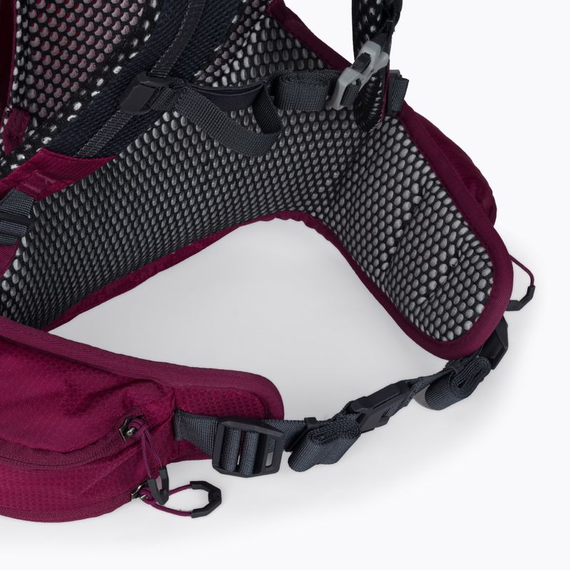 Jack Wolfskin Crosstrail ST 22 l zaino da trekking beaujolais 6