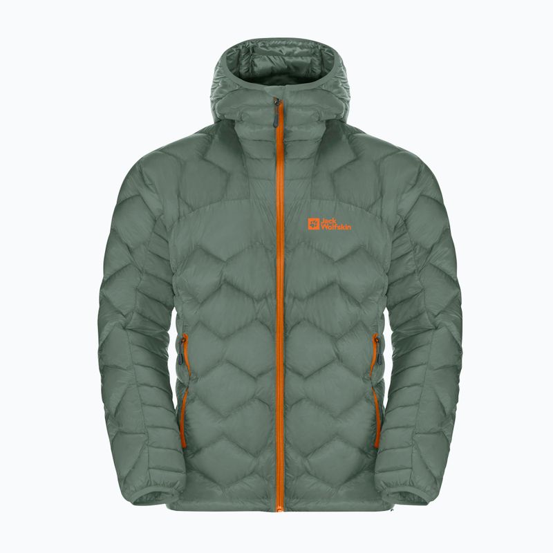 Giacca da sci Jack Wolfskin Alpspitze Down Hoody hedge verde uomo 7