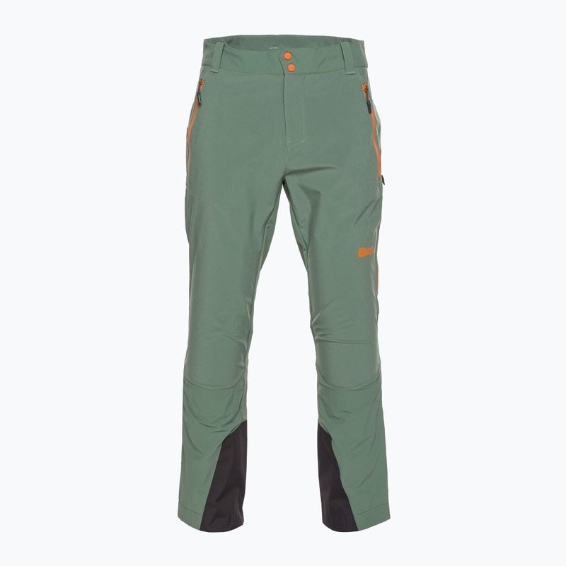 Pantaloni Jack Wolfskin Alpspitze Tour skit da uomo verde siepe 6