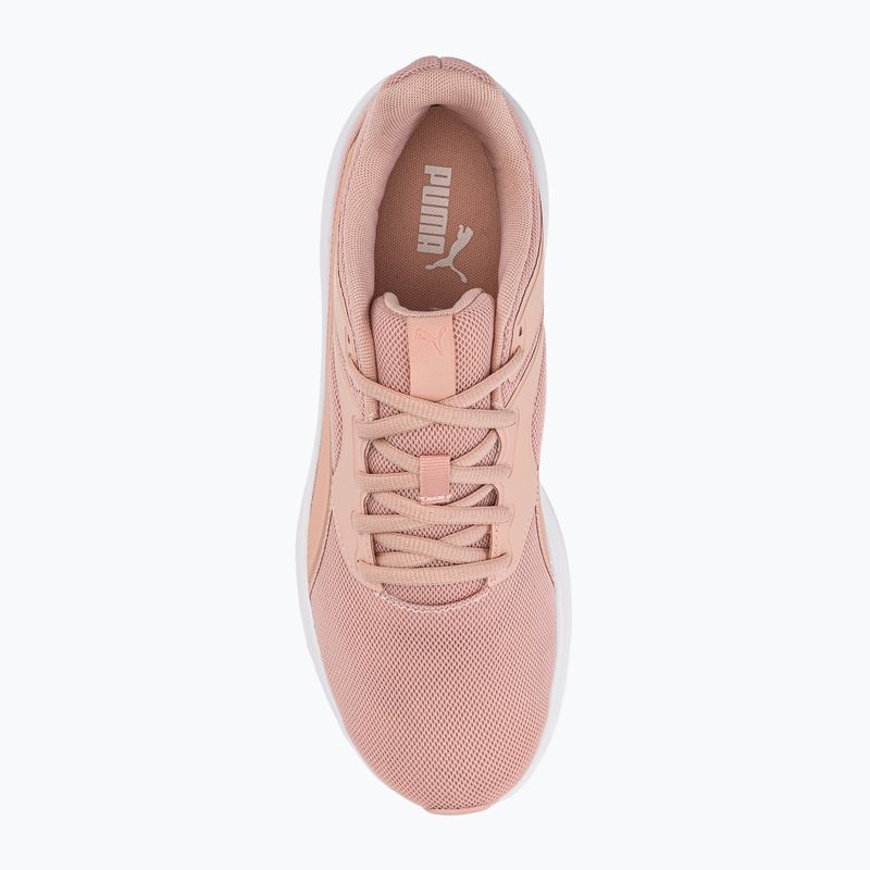 PUMA Transport scarpe da corsa quarzo rosa/oro rosa 6