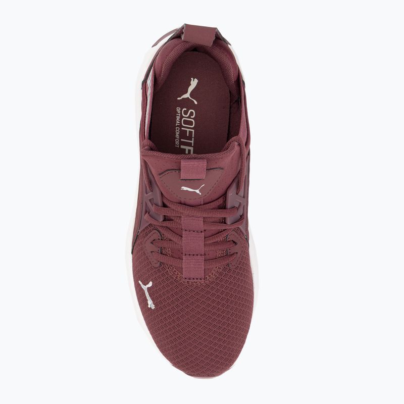 Scarpe da corsa da donna PUMA Softride Enzo Nxt legno viola/puma argento 6