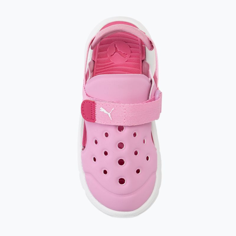 PUMA Evolve AC Inf, sandali per bambini in chiffon lilla/puma bianco/orchid shadow 5