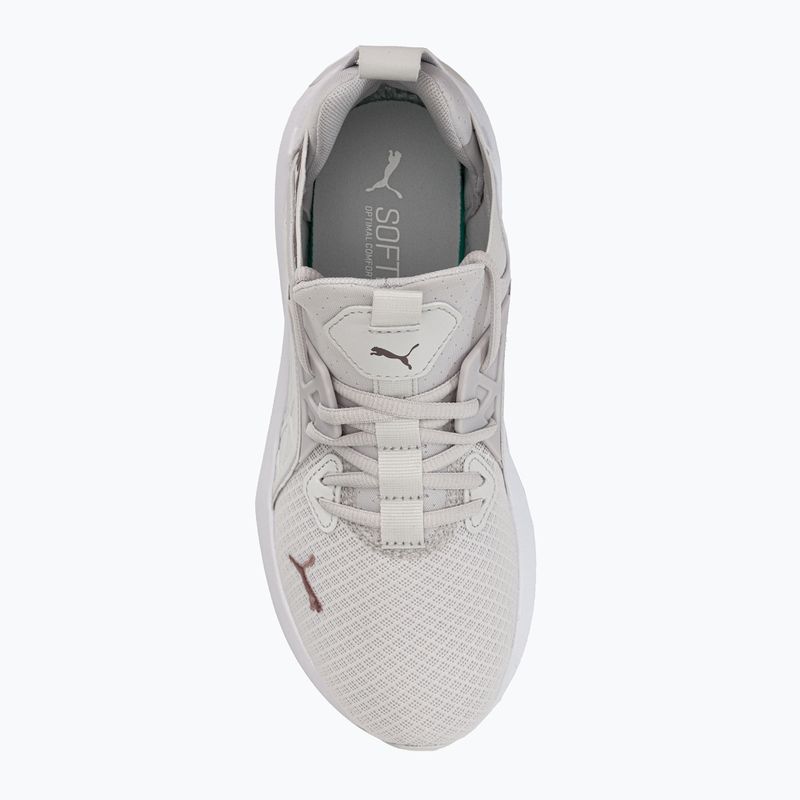 Scarpe da corsa da donna PUMA Softride Enzo Nxt grigio piuma/oro rosa 6