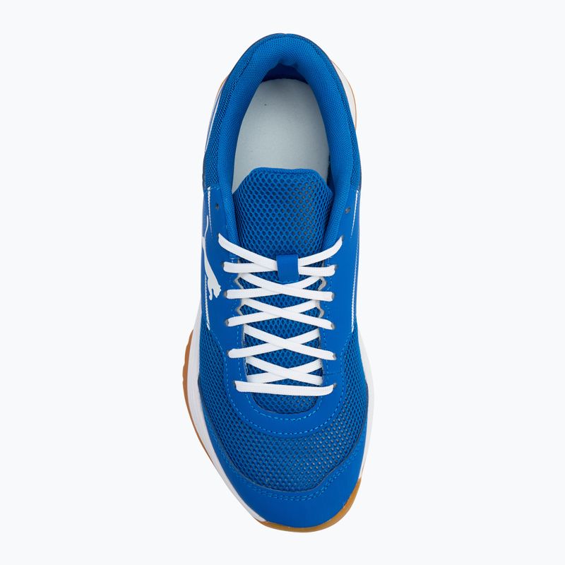 Scarpe sportive indoor da uomo PUMA Varion II puma team royal/puma white/gum 5