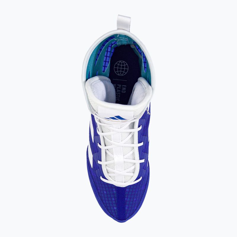 Scarpe da boxe adidas Box Hog 4 blu navy HP9612 6