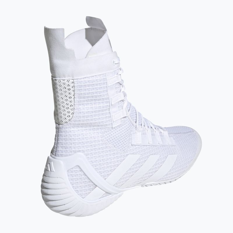 Scarpe da boxe adidas Speedex 23 bianco nuvola/bianco nuvola/grigio uno 3