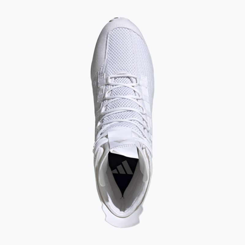 Scarpe da boxe adidas Speedex 23 bianco nuvola/bianco nuvola/grigio uno 4
