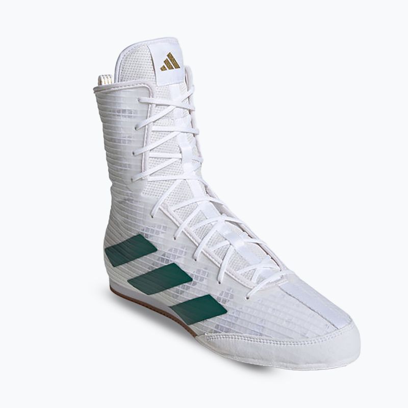 adidas Box Hog 4 nuvola bianca / verde chiaro / nucleo nero scarpe da boxe