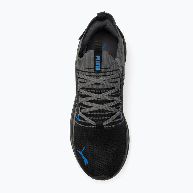 PUMA Softride Symmetry Fuzion scarpe da corsa puma nero/freddo grigio scuro/puma team royal 5