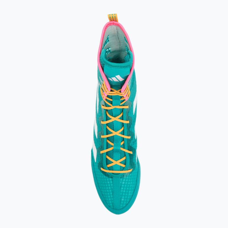 Scarpe da boxe adidas Box Hog 4 turquoise 5