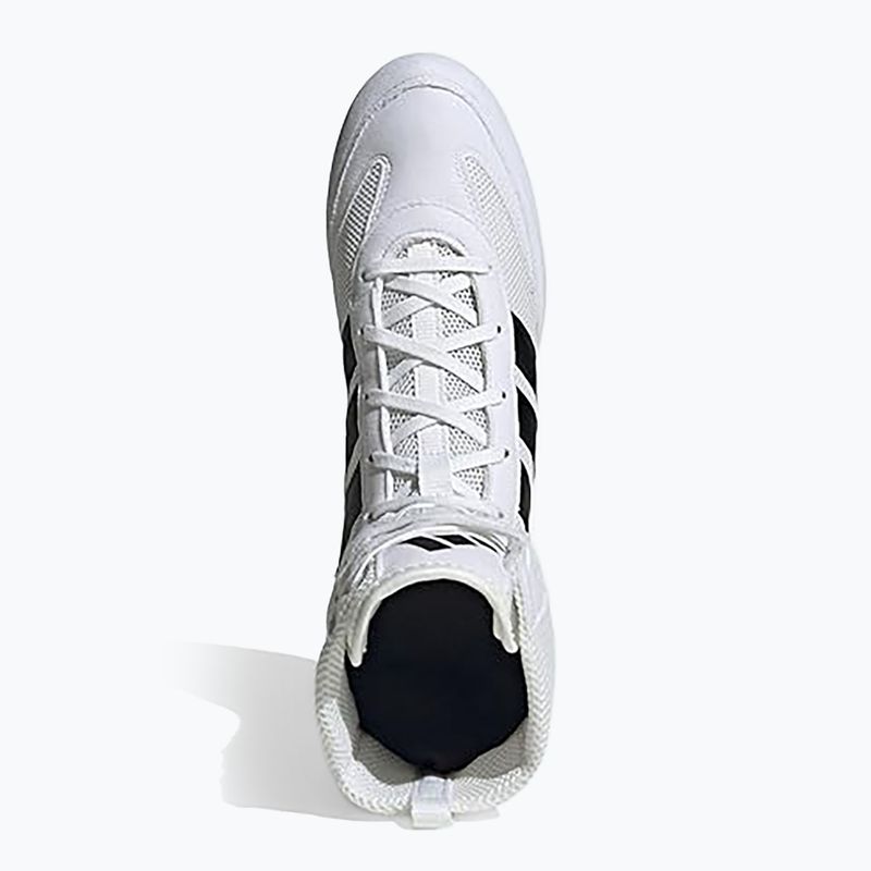 Scarpe da boxe adidas Box Hog Classic white 5