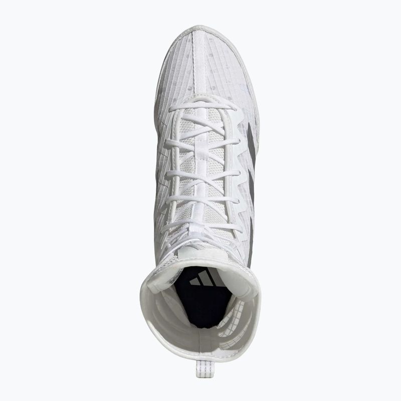 Scarpe da boxe adidas Box Hog 4 white/silver 5