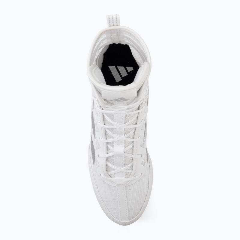 Scarpe da boxe adidas Box Hog 4 white/silver 5