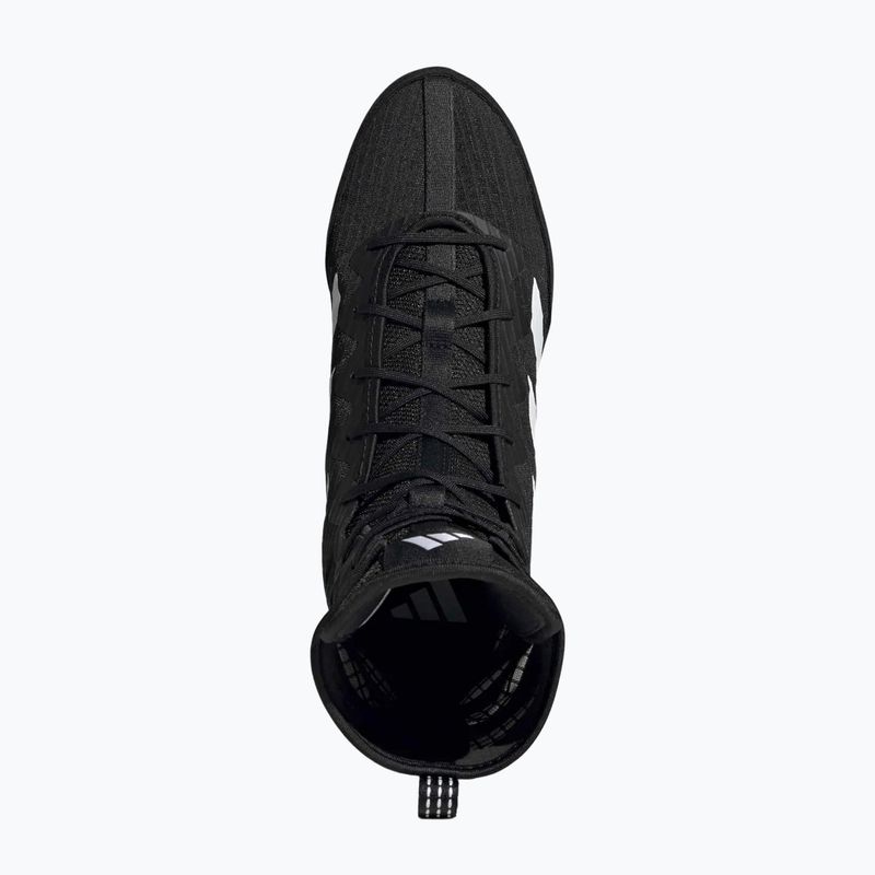 Scarpe da boxe adidas Box Hog 4 black/white 5