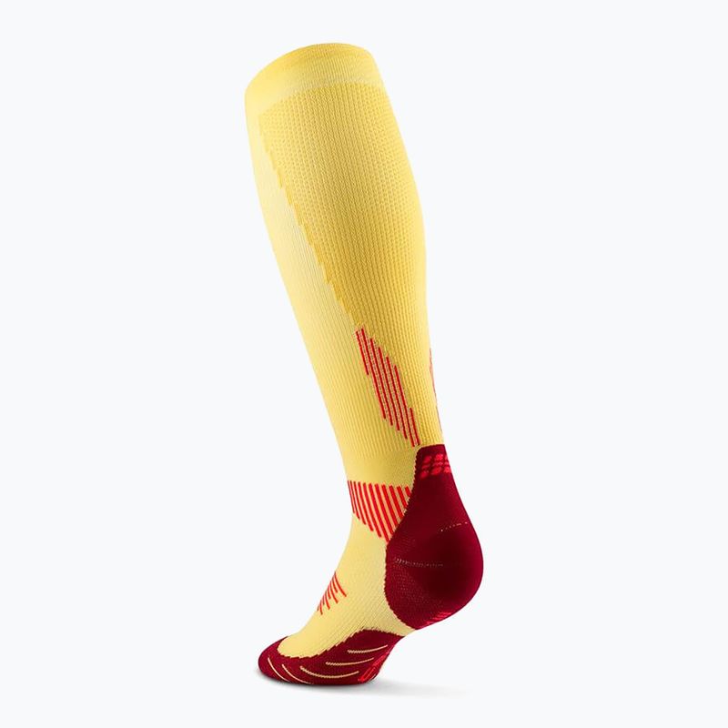 CEP Run Tall 5.0 calze a compressione da donna color calendula/bordeaux 3