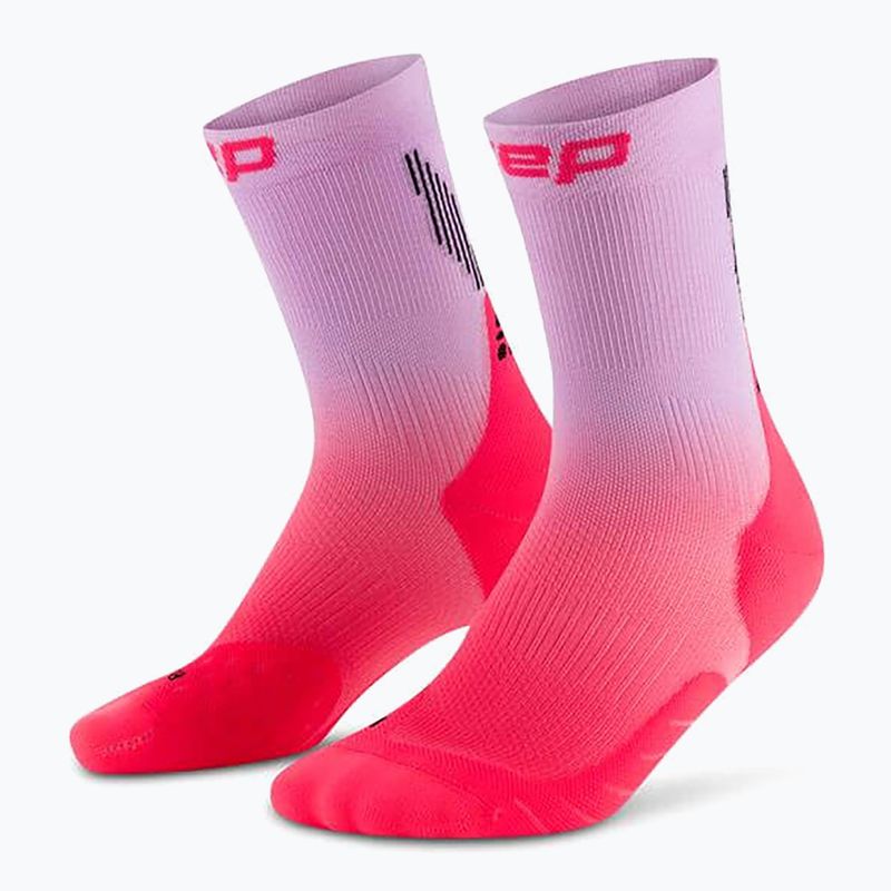 Calze a compressione CEP da uomo Run Edt. Gradient Mid Cut Compression 5.0 rosa/lilla sbiadito