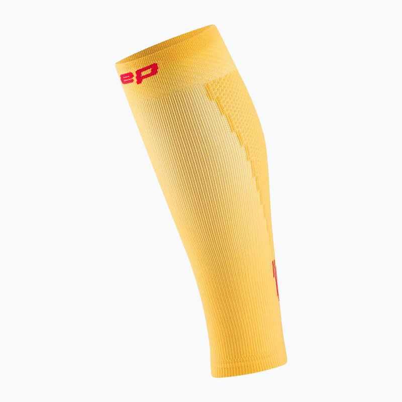 Fasce compressive CEP Calf 5.0 da uomo color calendula/bordeaux 2