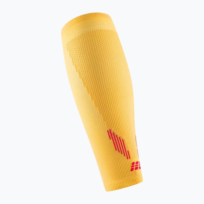 Fasce compressive CEP Calf 5.0 da uomo color calendula/bordeaux 3