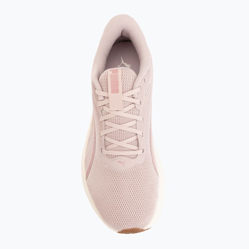 Scarpe da corsa Puma MaxStride Lite puma black/dusky rsewood 5