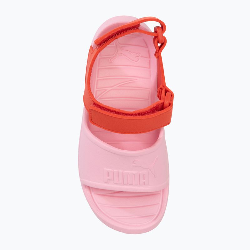 PUMA Divecat v2 Injex PS sandali per bambini rosa lilla/rosso attivo 5