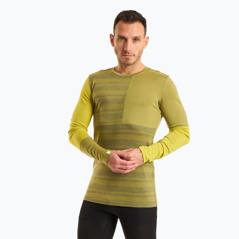 Maglia termica da uomo ORTOVOX 185 Rock'N'Wool sweet alison