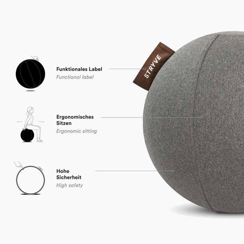 STRYVE Active Ball 65 cm grigio chiaro 4