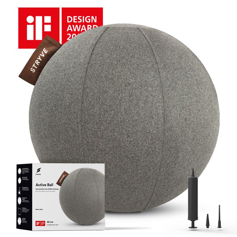 STRYVE Active Ball 65 cm grigio chiaro 9