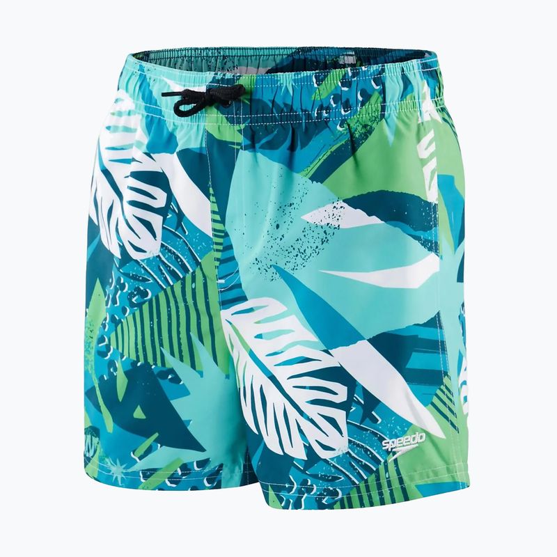 Speedo pantaloncini da bagno per bambini Stampato 13" verde/blu