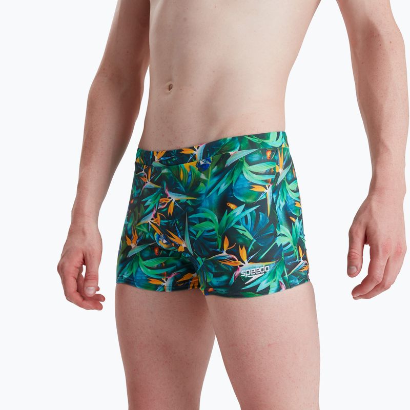 Pantaloncini da bagno Speedo Escape jungle nero/benzina scuro da uomo 5