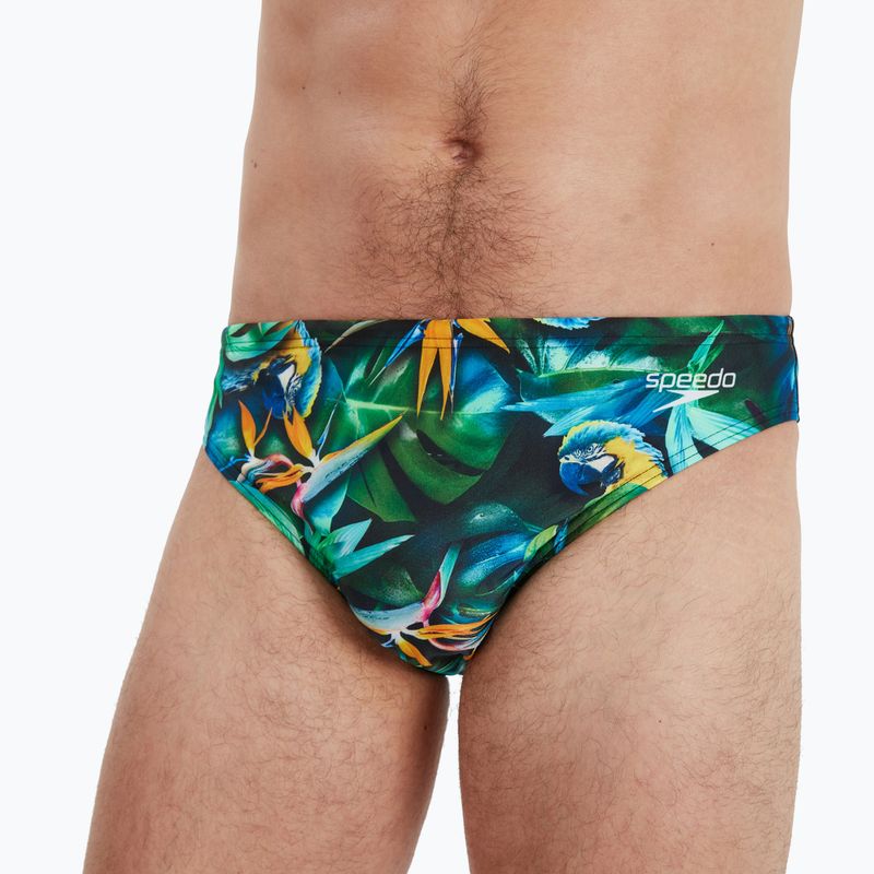 Slip da bagno Speedo Escape jungle nero/benzina scuro per uomo 2
