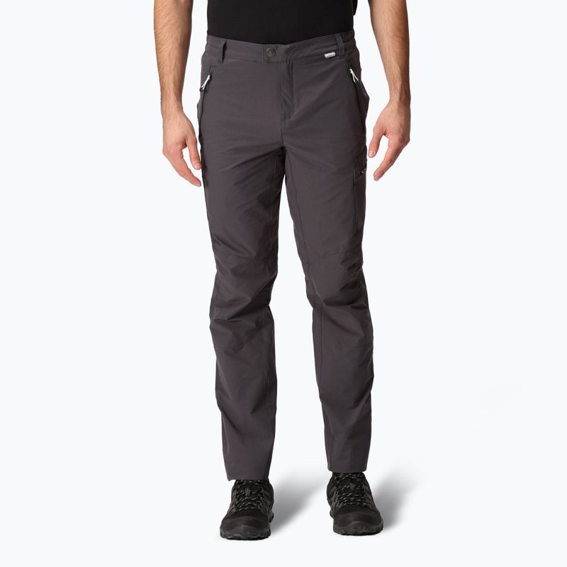 Pantaloni da trekking da uomo REGATTA Highton grigio foca