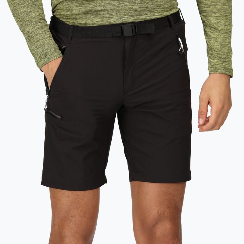 Pantaloncini da trekking Regatta Xert Stretch III da uomo, nero 4