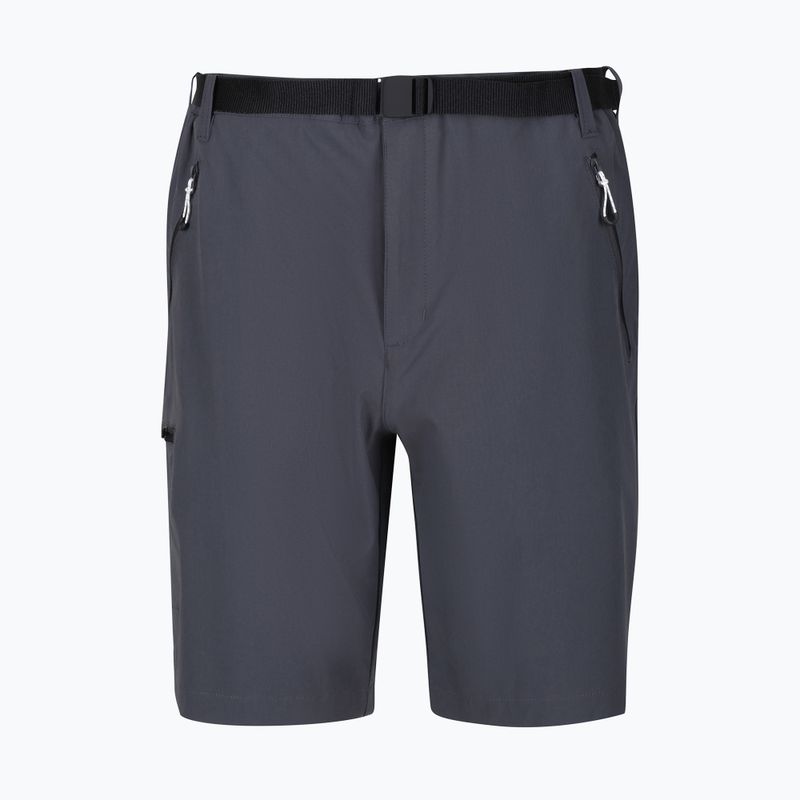 Pantaloncini da trekking da uomo Regatta Xert Stretch III seal grey 6