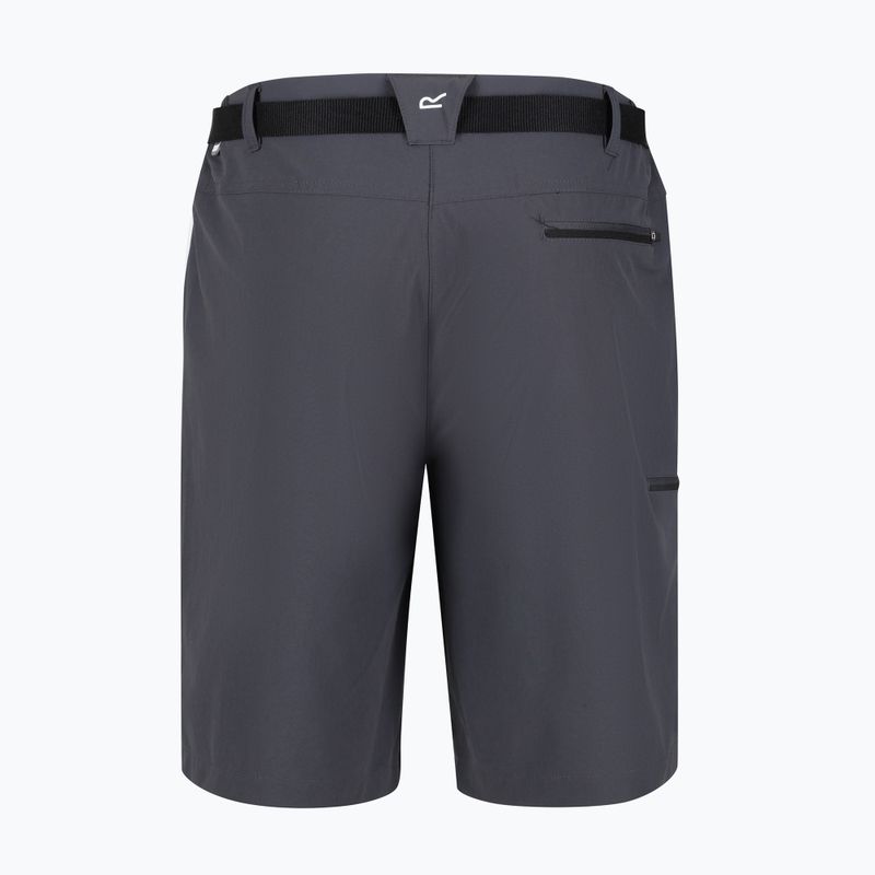 Pantaloncini da trekking da uomo Regatta Xert Stretch III seal grey 7