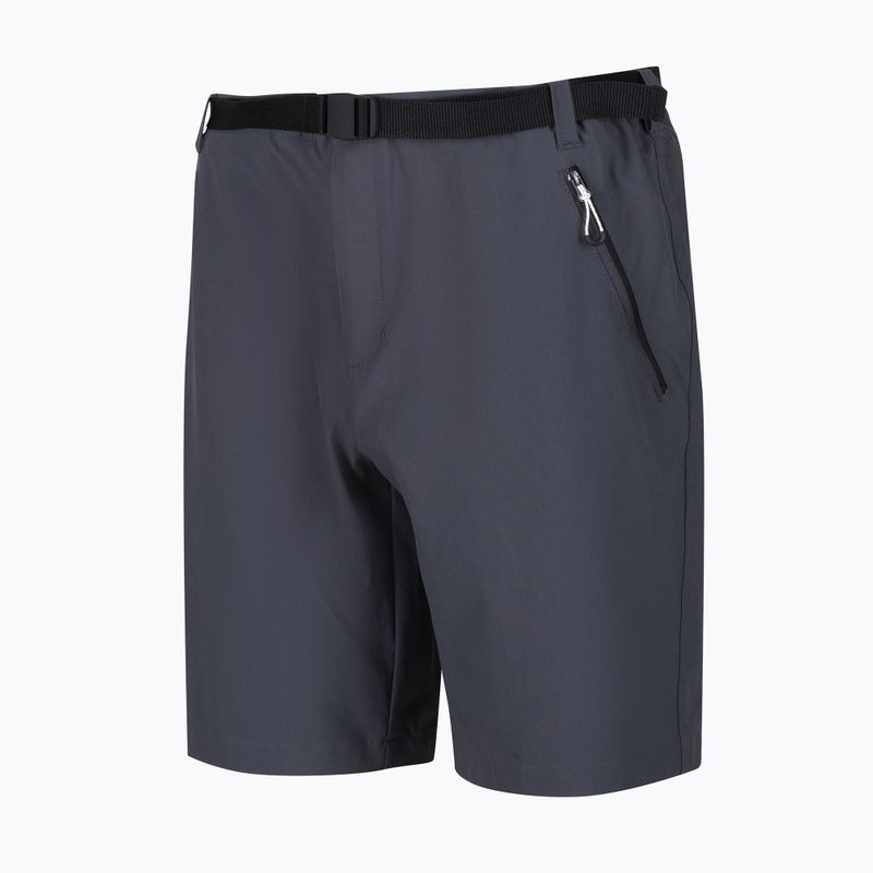 Pantaloncini da trekking da uomo Regatta Xert Stretch III seal grey 8