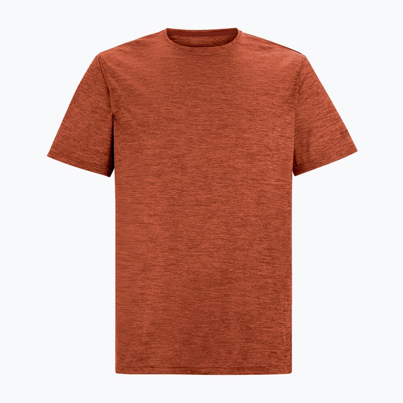 Maglietta da trekking da uomo REGATTA Fingal Edition rusty orange 5