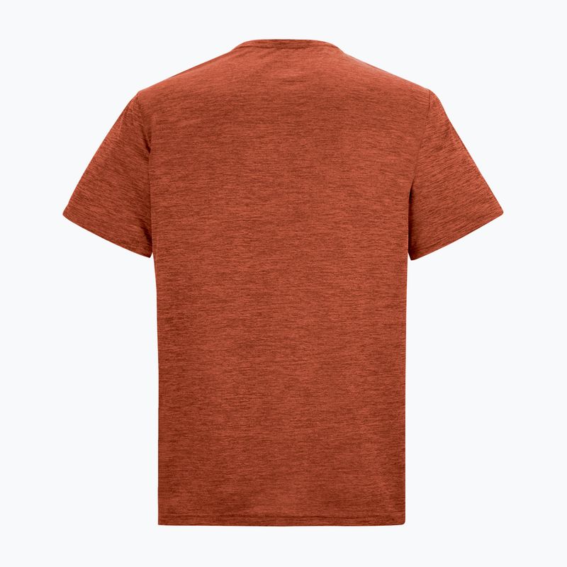 Maglietta da trekking da uomo REGATTA Fingal Edition rusty orange 6