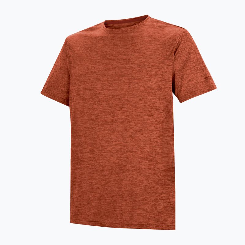 Maglietta da trekking da uomo REGATTA Fingal Edition rusty orange 7