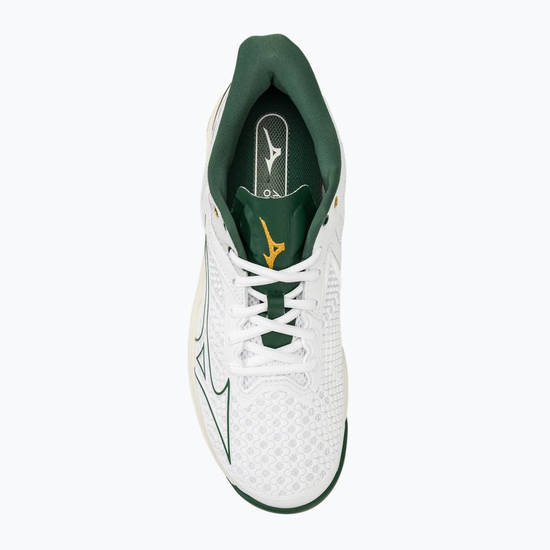 Scarpe da tennis da uomo Mizuno Wave Exceed Tour 5 AC bianco/ago di pino/papiro 5