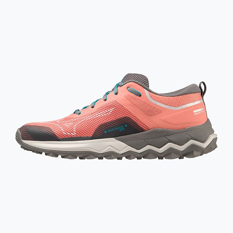 Scarpe da corsa da donna Mizuno Wave Ibuki 4 GTX lantana/quiet shade/buebird 12